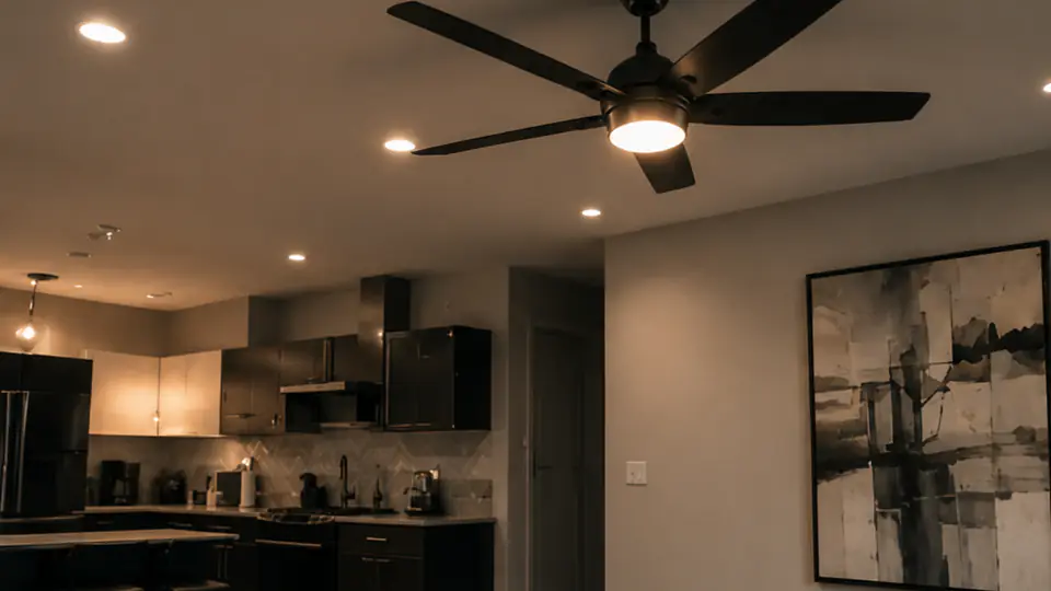 Installed lighting and ceiling fan